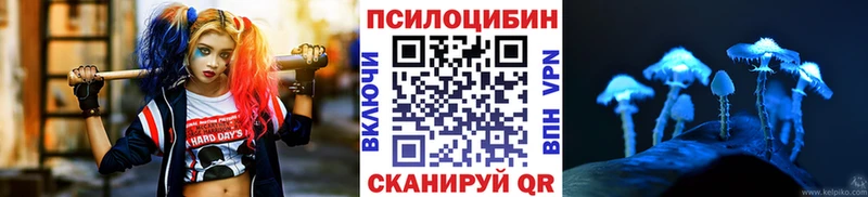 Галлюциногенные грибы Psilocybe  гидра как войти  Тюмень 