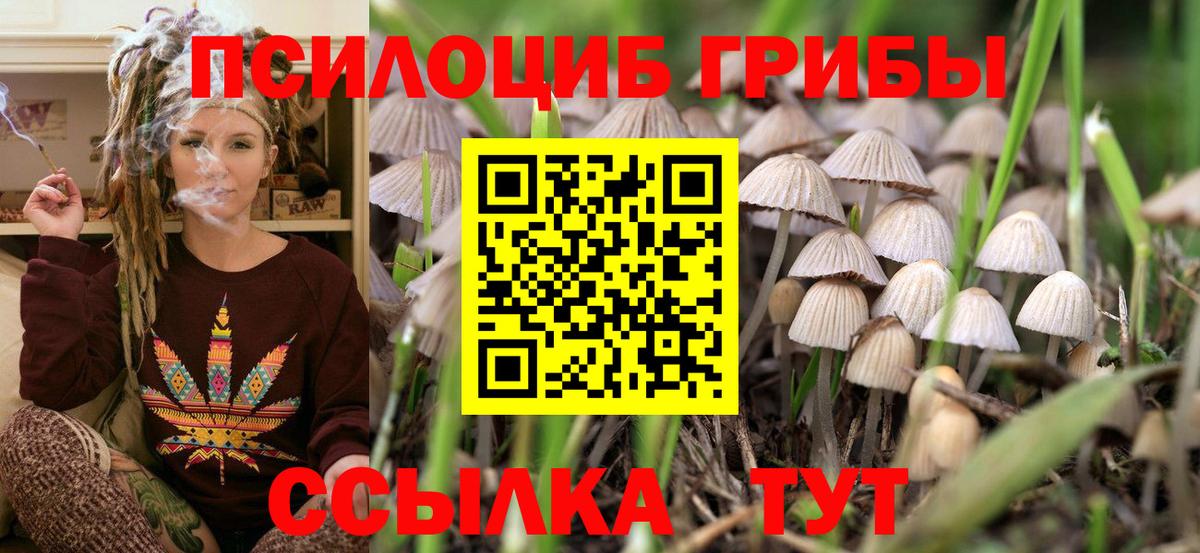 Галлюциногенные грибы Magic Shrooms Тюмень