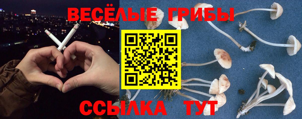 Галлюциногенные грибы мицелий  Вход с VPN  Тюмень 